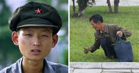 p o r n images|Photographer’s Rare Images Reveal Everyday Life in North Korea.